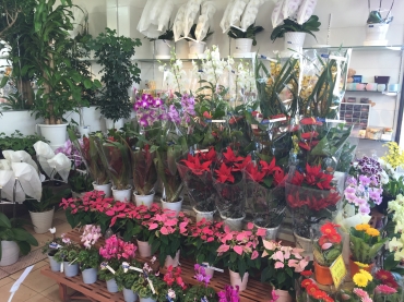 「フローリスト花雅」　（鹿児島県南九州市）の花屋店舗写真3